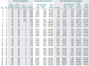 life insurance for grandchildren