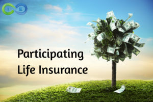 Participating whole Life Insurance Policy