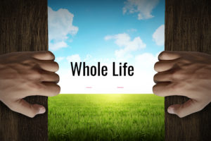 Whole Life Insurance Policy
