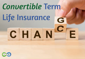 convertible life insurance