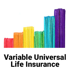 variable universal life insurance