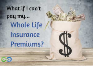 converting whole life to paid up insurance